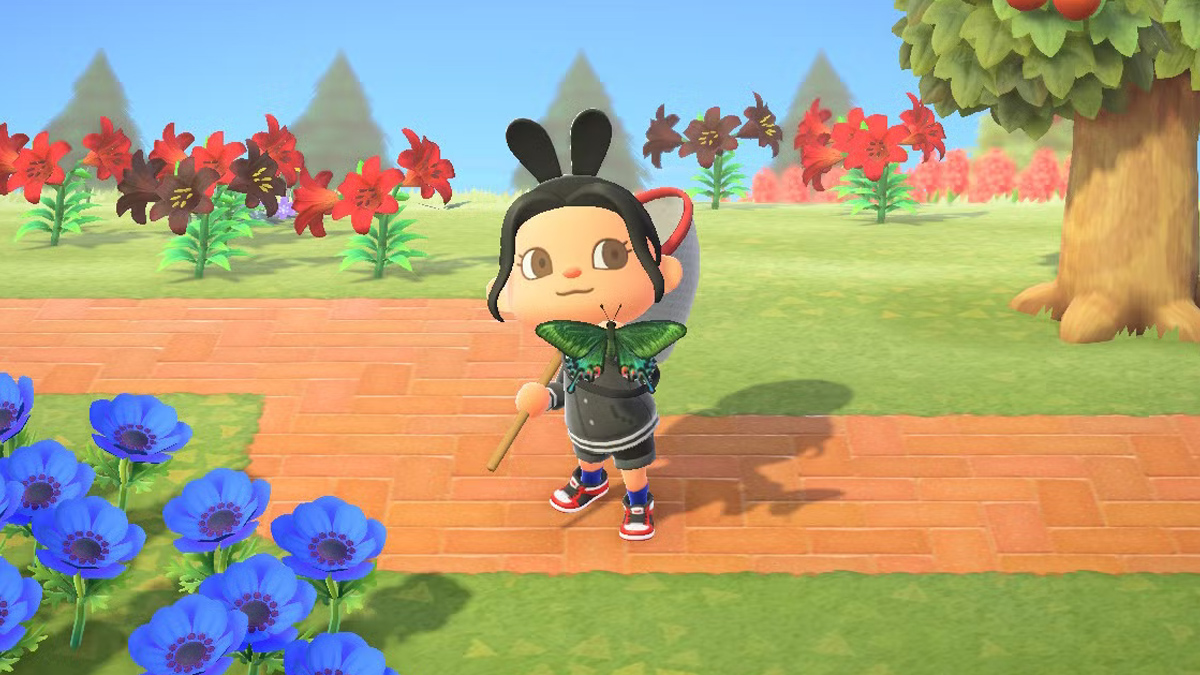 GUIDE Animal Crossing New Horizons : La liste complète des insectes de juin 2026