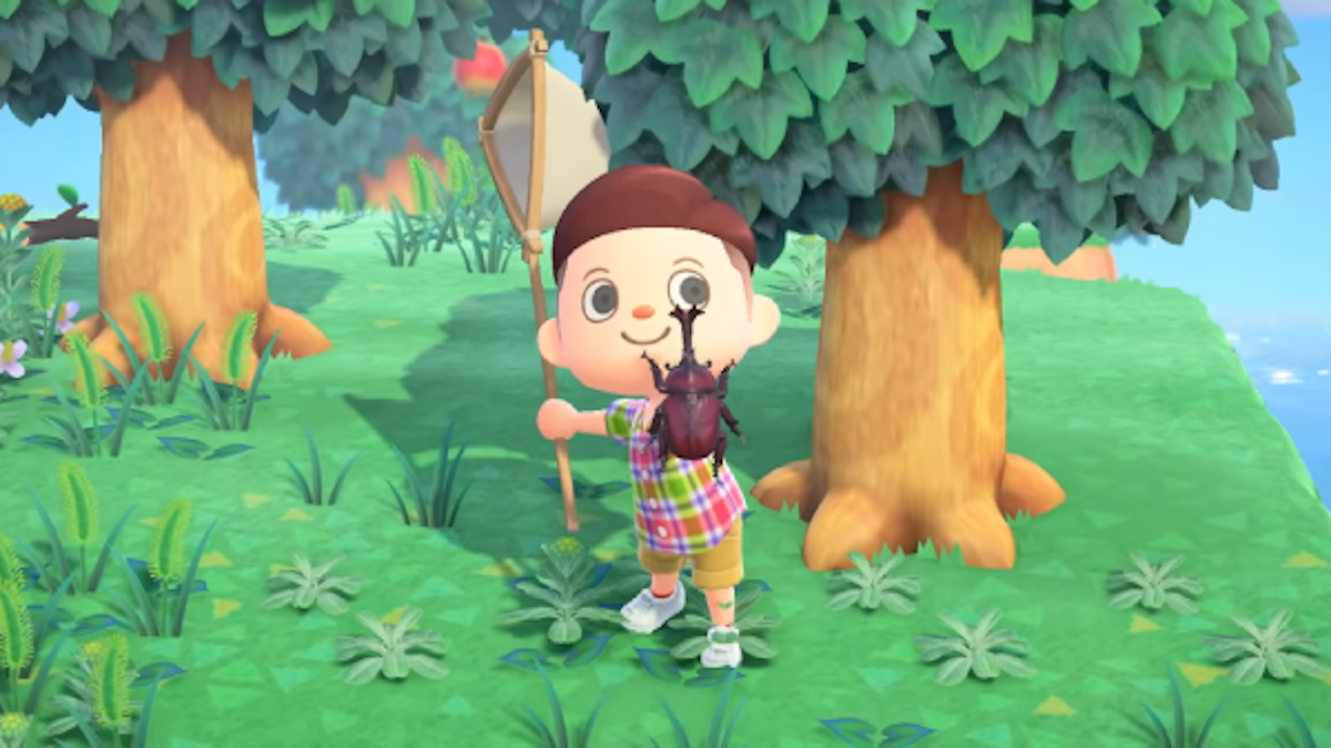 GUIDE Animal Crossing New Horizons : La liste complète des insectes de juillet 2026