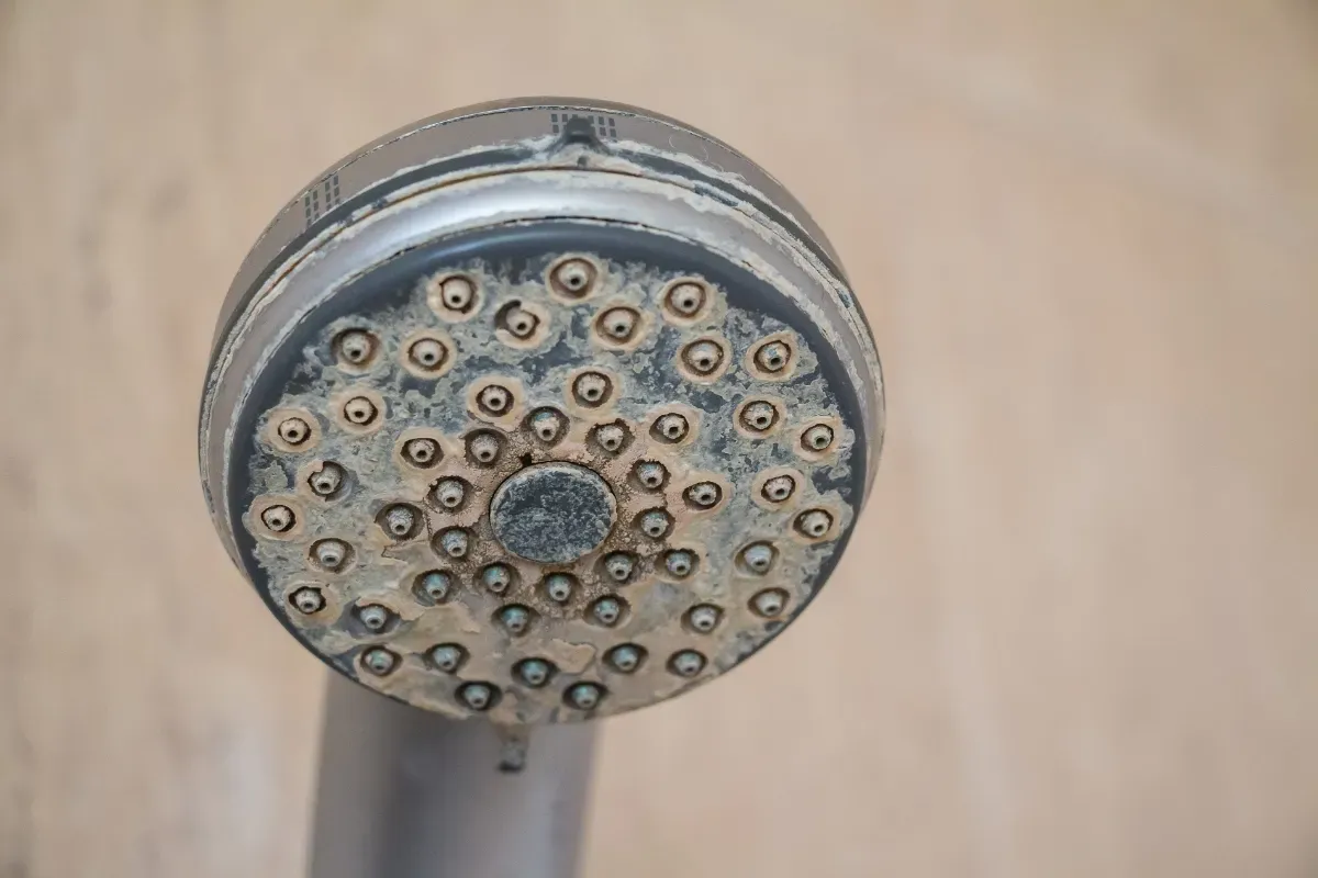 Oubliez le vinaigre blanc sur votre pommeau de douche : voici ce que les plombiers utilisent vraiment pour retrouver une pression maximale