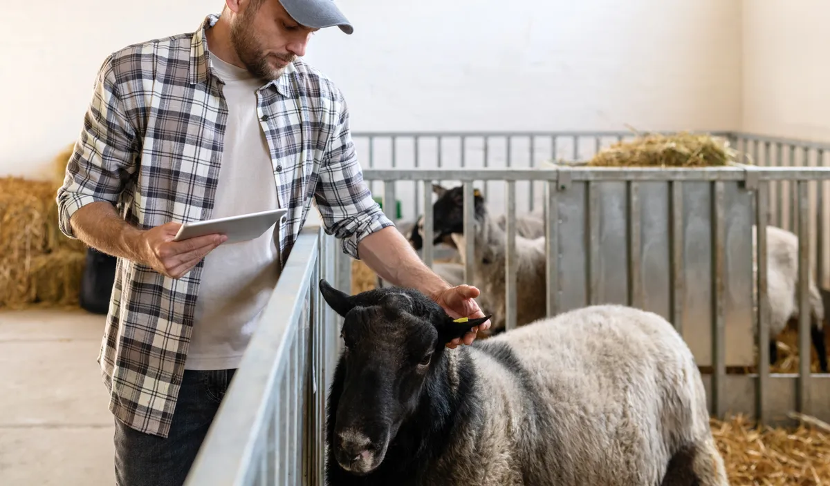 Un ingénieur autrichien a trouvé comment protéger les moutons sans toucher aux loups