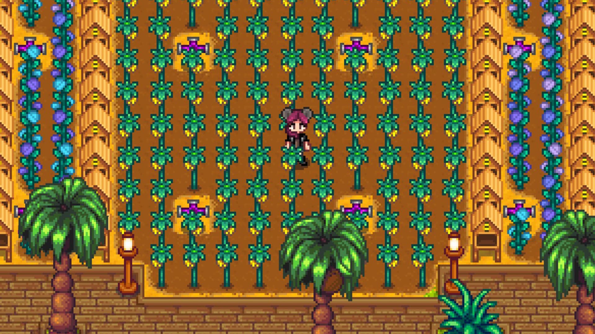 GUIDE Stardew Valley : les meilleures récoltes de l'été pour gagner un maximum d'argent