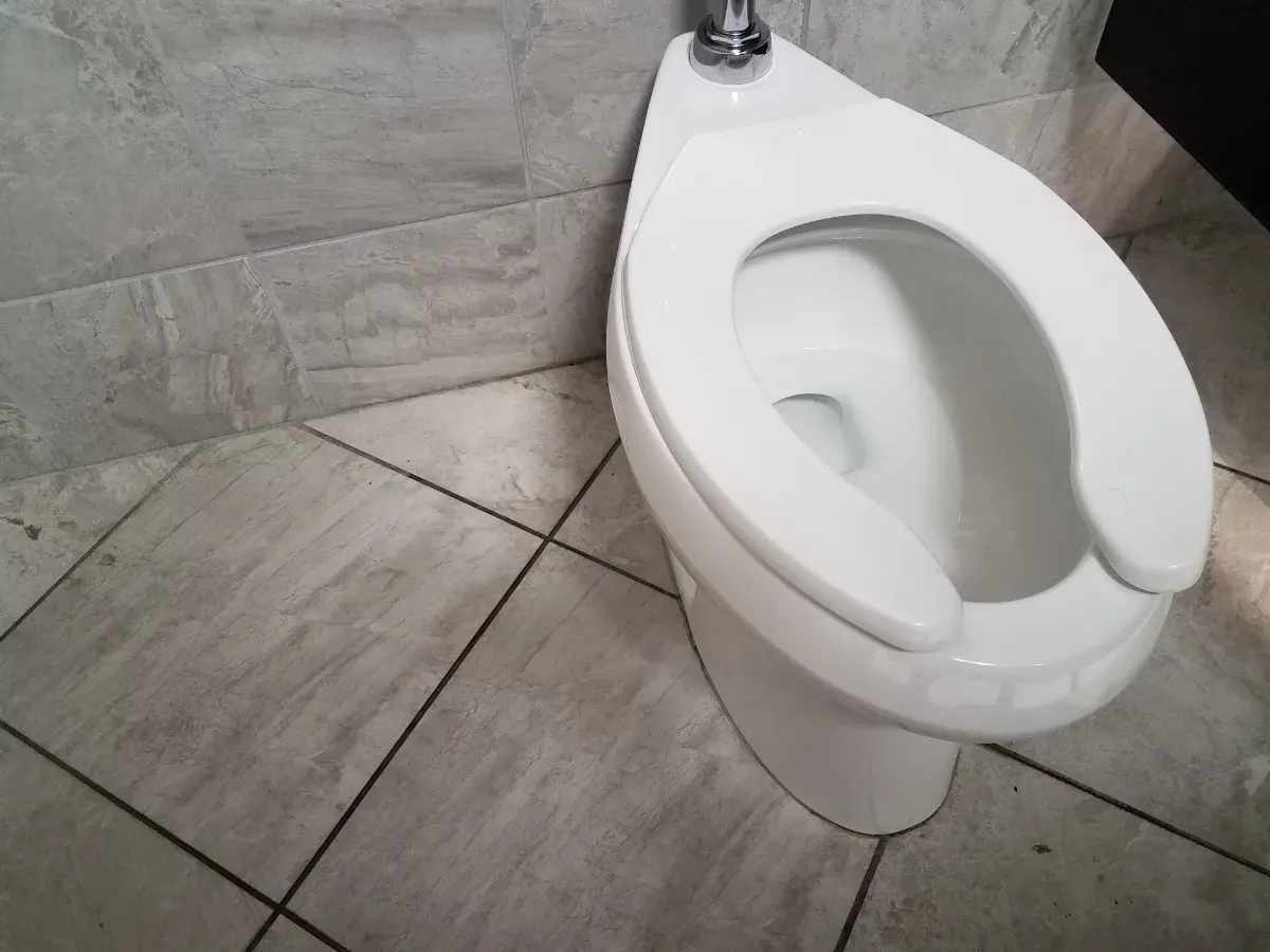 Pourquoi les toilettes publiques ont une ouverture en forme de U : les plombiers expliquent ce détail que personne ne remarque