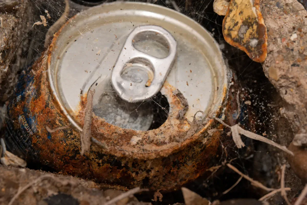 Deux marcheurs tombent sur une canette rouillée en forêt : à l'intérieur, près de 600 pièces d'or estimées à 330 000 $