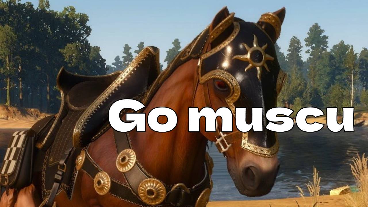 L'image du jour : Pendant ce temps dans The Witcher 3