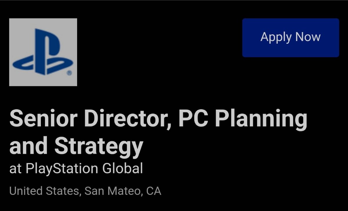Directeur stratégie jeux PlayStation PC
