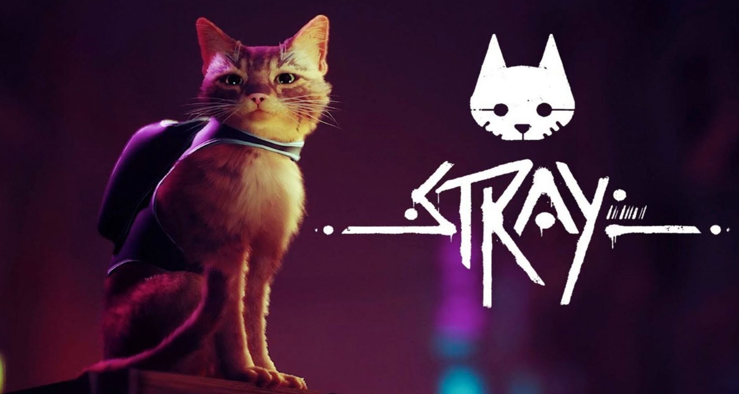 Stray : Le jeu d'aventure où l'on incarne un chat pour bientôt ?