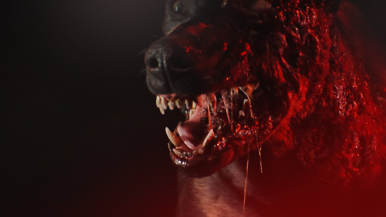 Resident Evil Netflix chien zombie