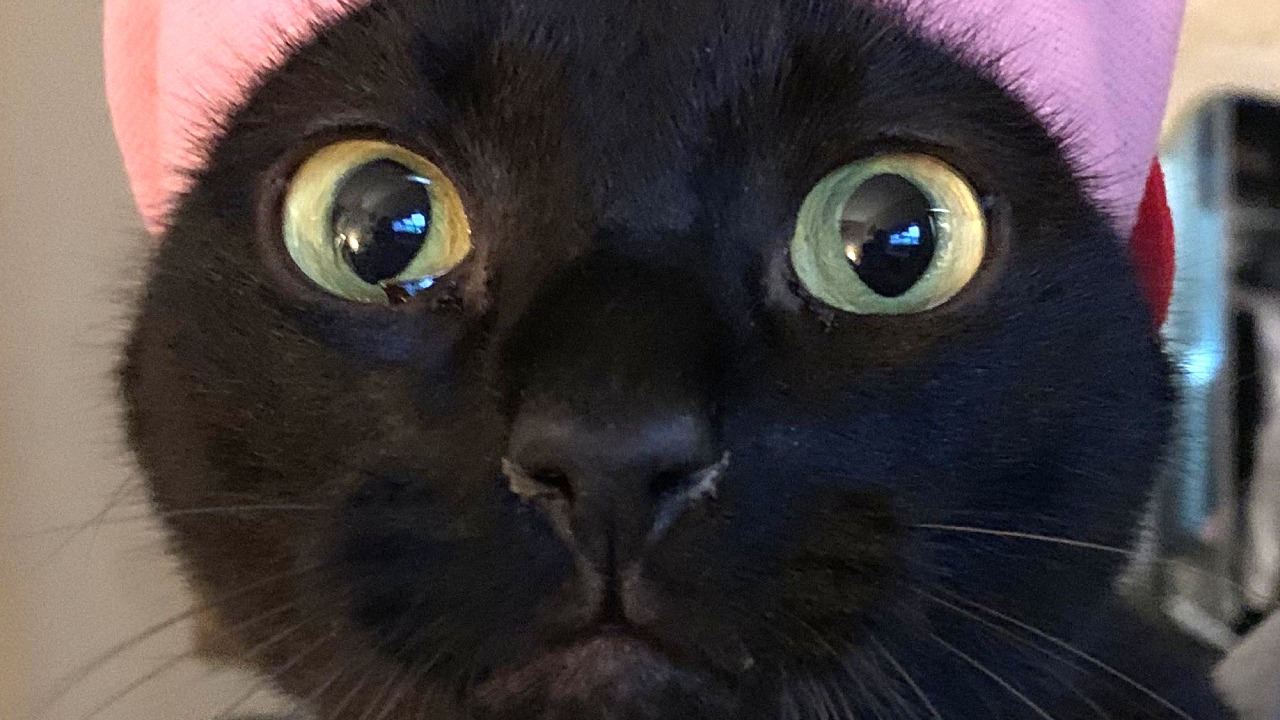 Youpi matin : un petit chapeau parfait