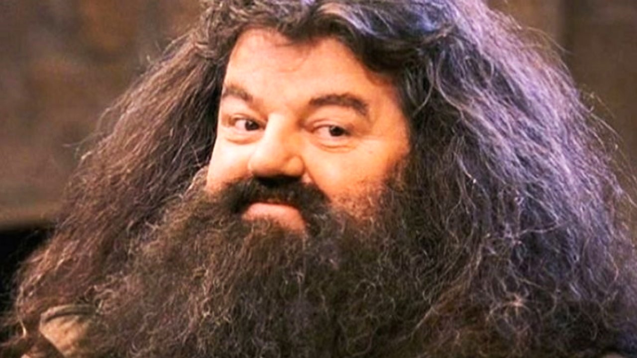 Harry Potter : Robbie Coltrane, l'acteur d'Hagrid, est mort. Les hommages