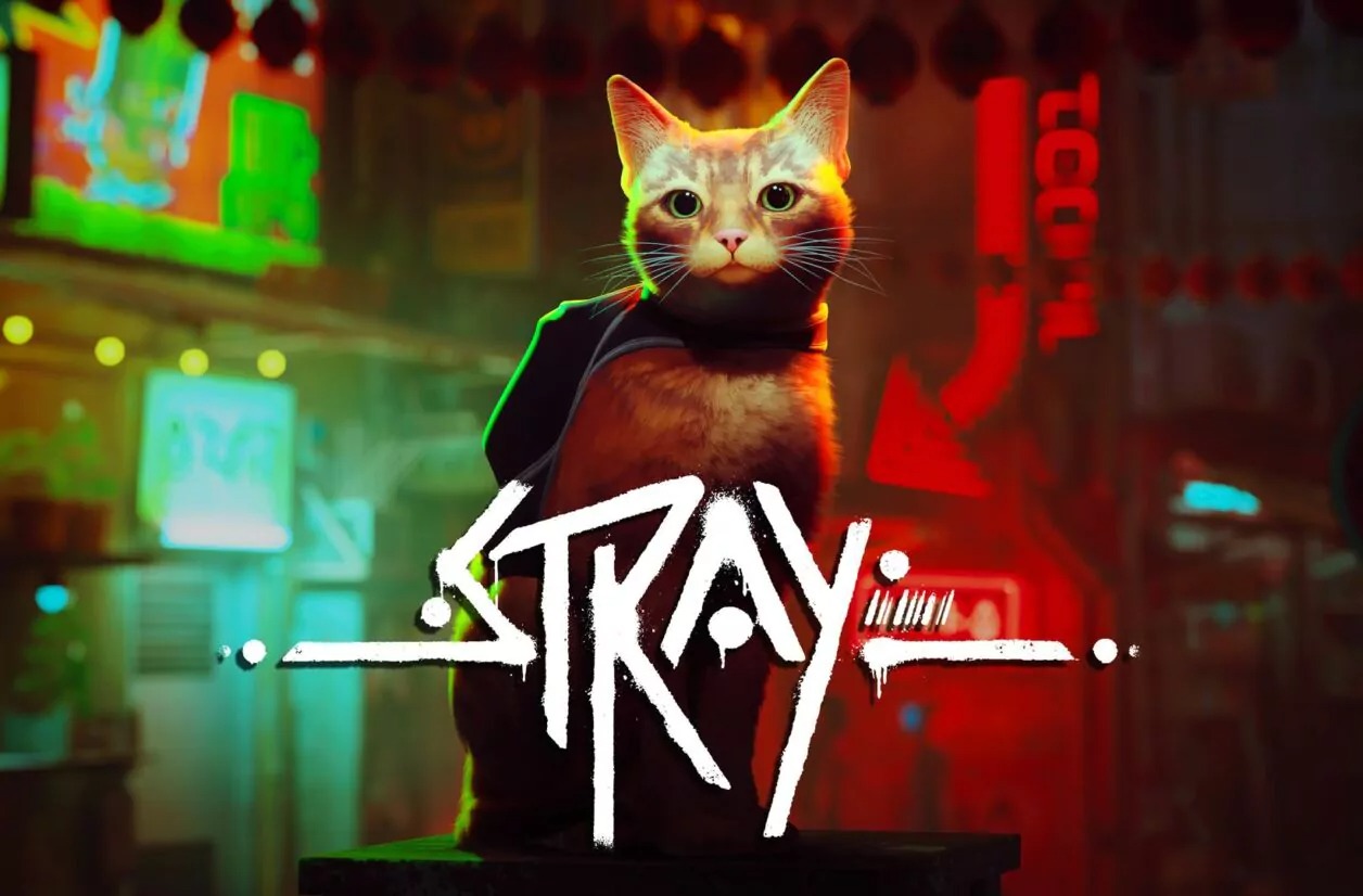 Stray comme vous ne l'avez jamais vu