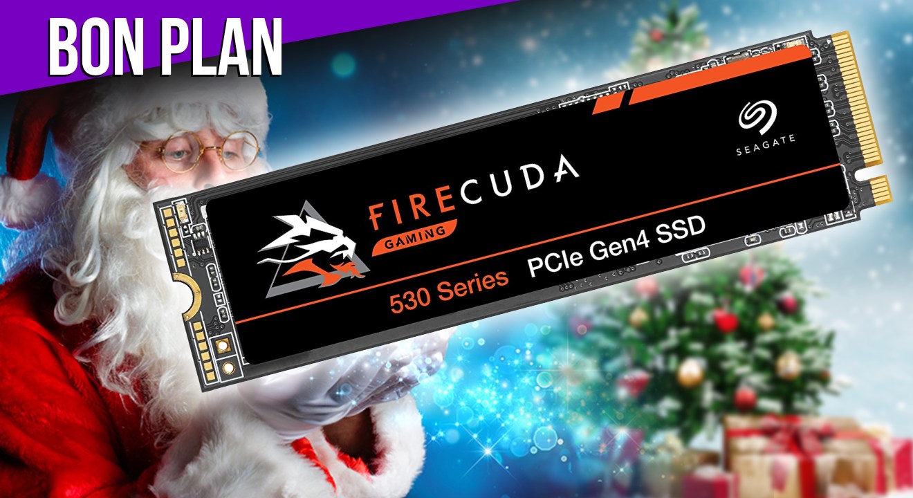Mémoire SSD PS5 Firecuda 530 avec dissipateur thermique 1 To