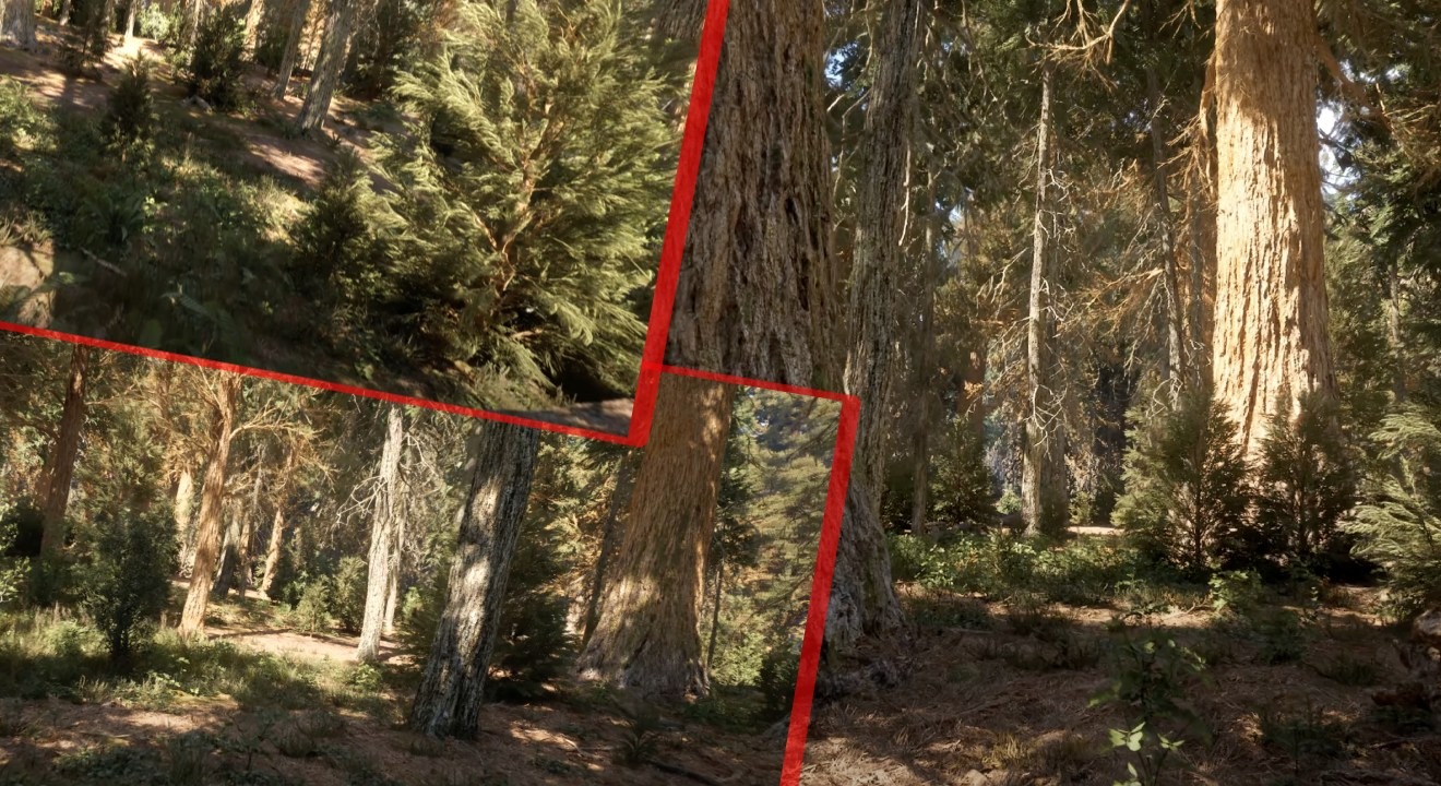 Unreal Engine 5.1 : une ballade en forêt plus vraie que nature