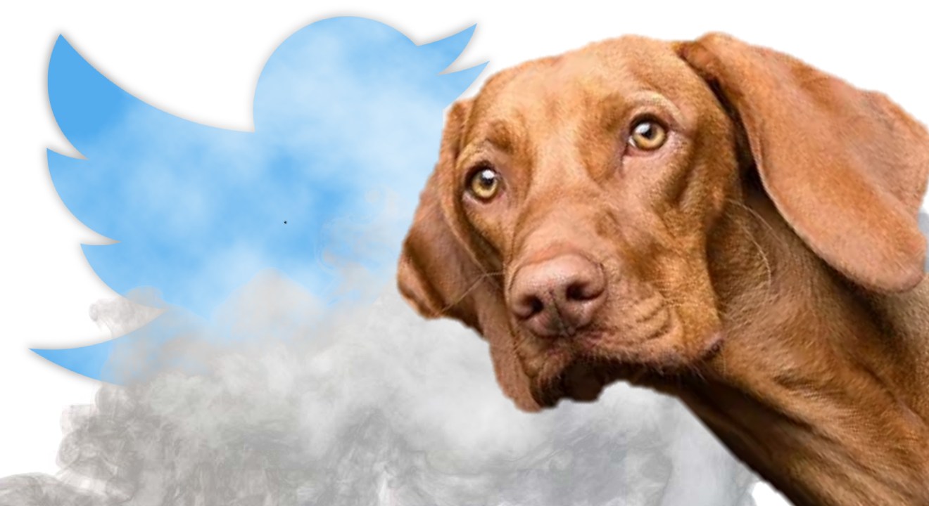 Twitter : une star du rap veut prendre la place d'Elon Musk