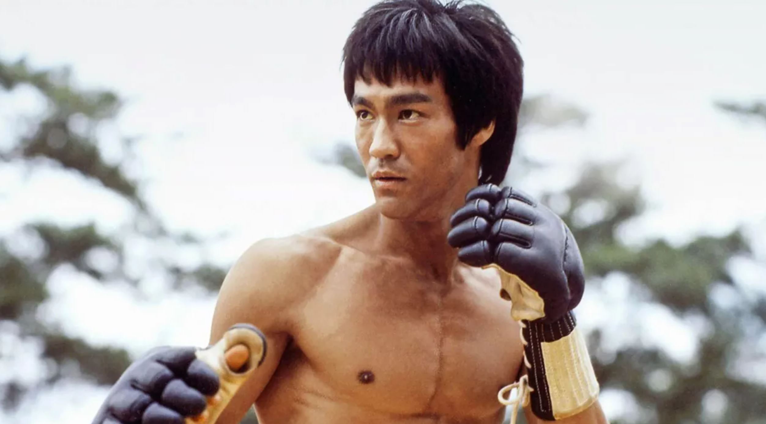 Bruce Lee s'invite dans un Battle Royale