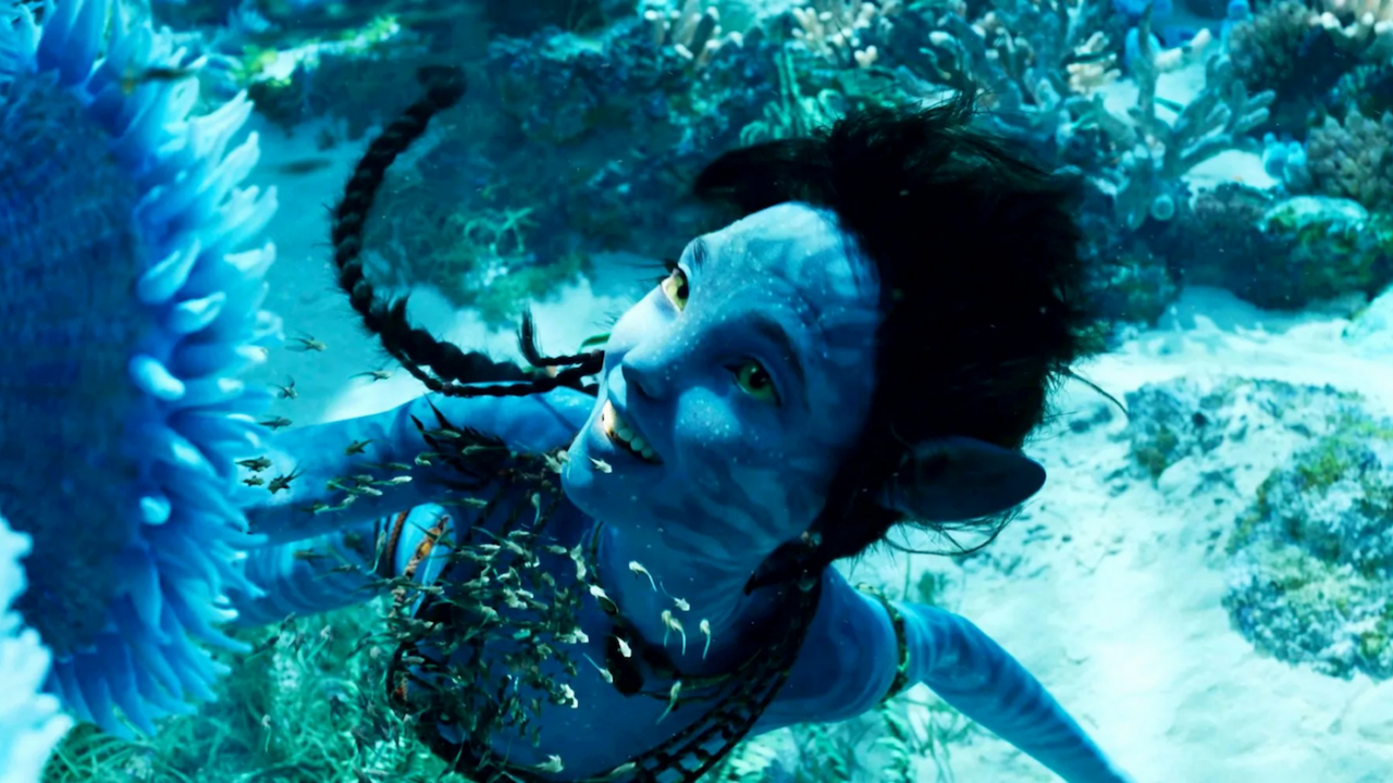 Avatar 2 : nouveau record au box-office, le film entre dans l'histoire