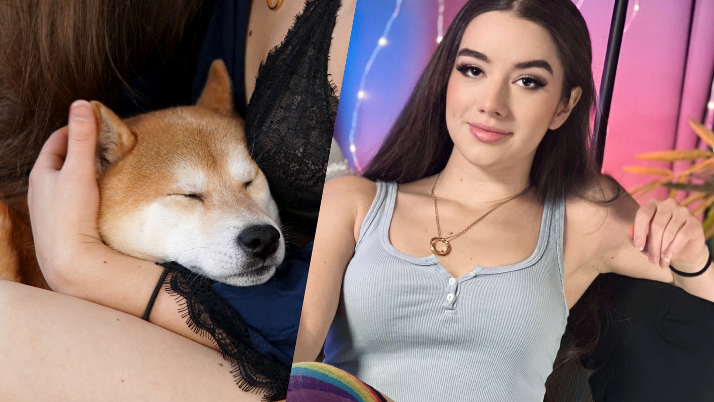 La vidéo du jour : son chien se met à jouer à Elden Ring, ça tourne bien