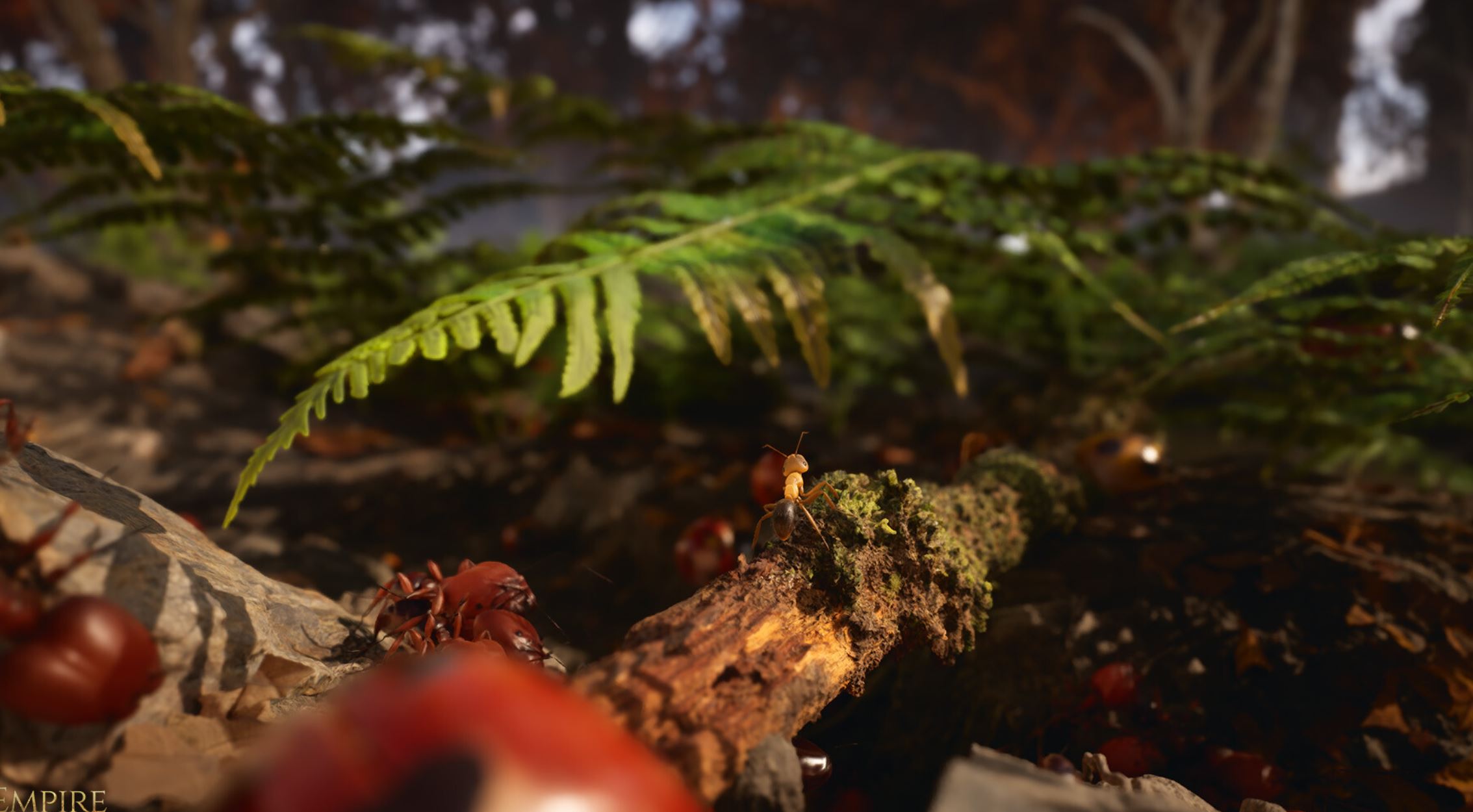 Les Fourmis : enfin un jeu vidéo pour le célèbre roman à succès