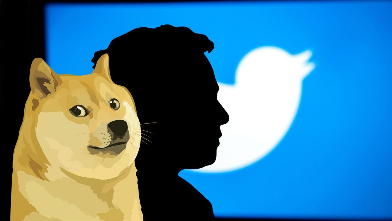 Twitter : Pourquoi le logo de l'oiseau est-il remplacé par celui du Dogecoin ?