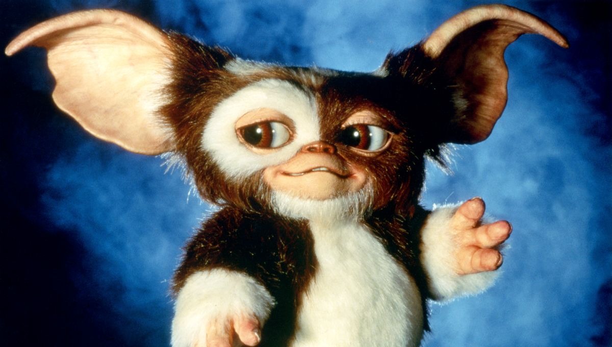 Gremlins : la saga est de retour et ça énerve déjà tout le monde