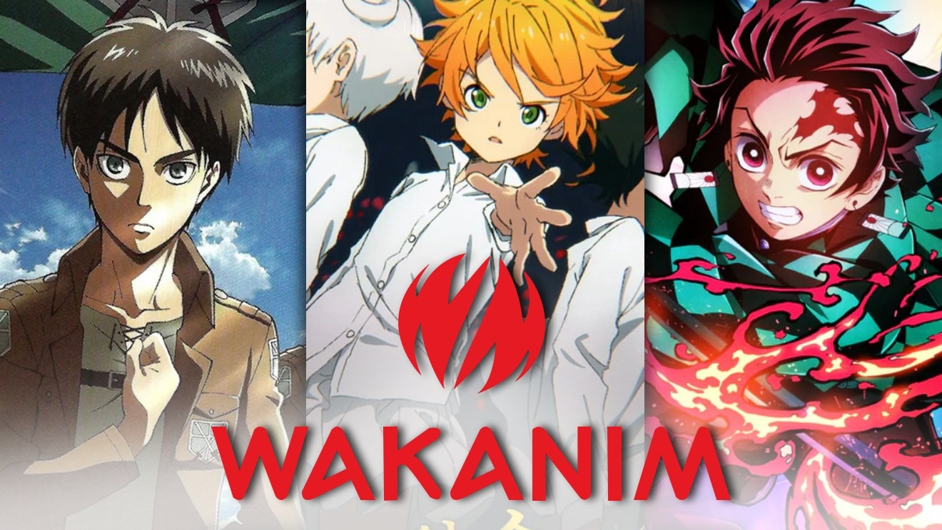 Wakanim : c'est fini pour la plateforme incontournable remplie d'anime