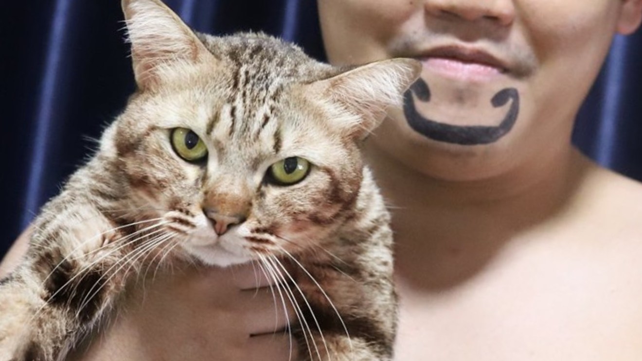 Le cosplay insolite du jour : un perso de One Piece génialement réalisé