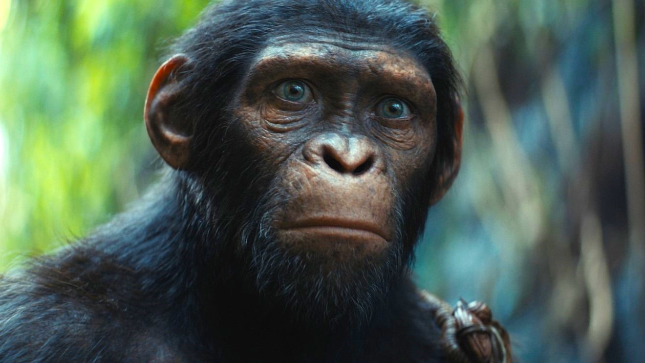 La Planète des Singes : le nouveau film se dévoile encore, c'est sublime !