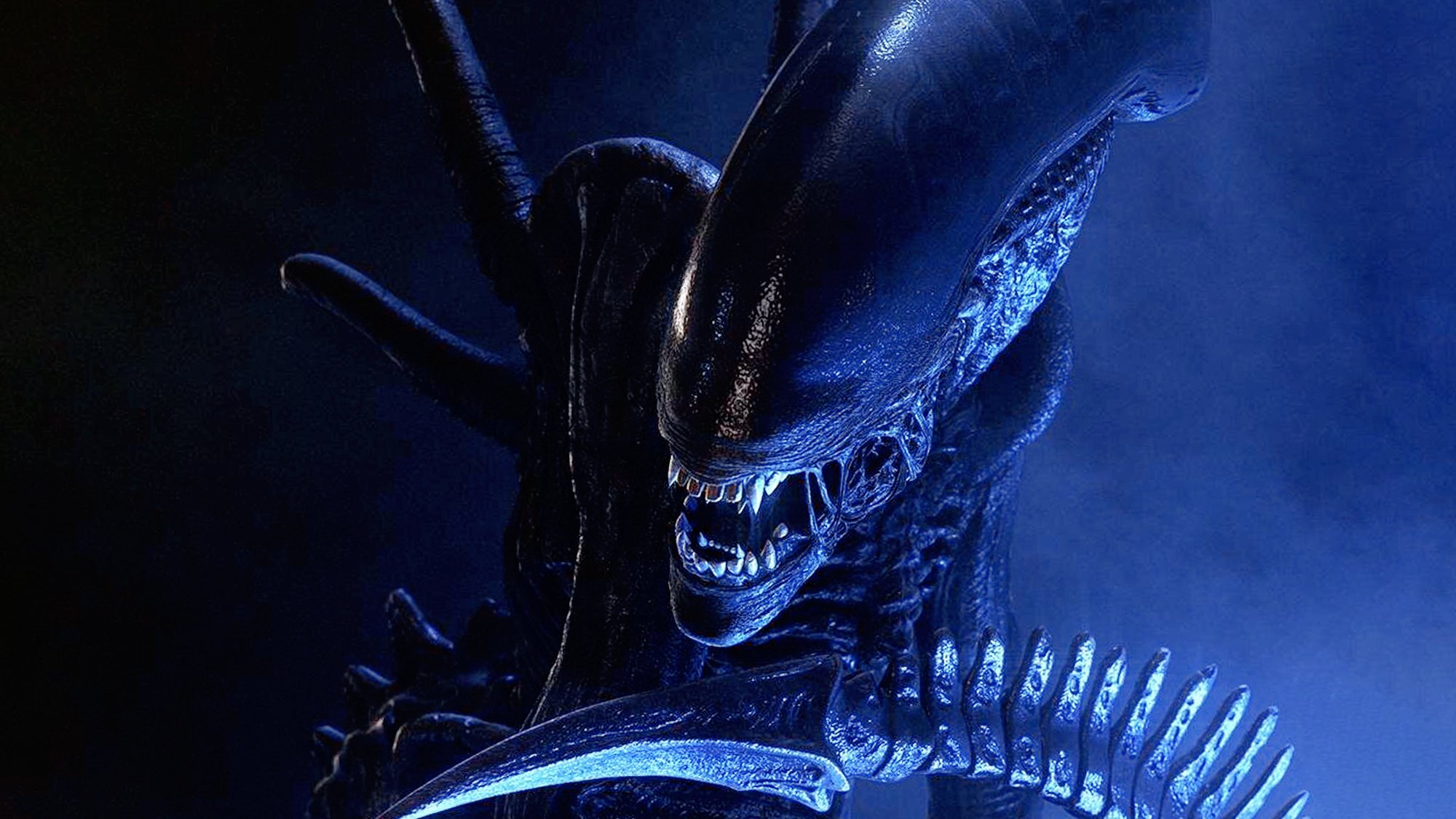 Alien : un nouveau jeu unique en son genre annoncé, c'est prometteur