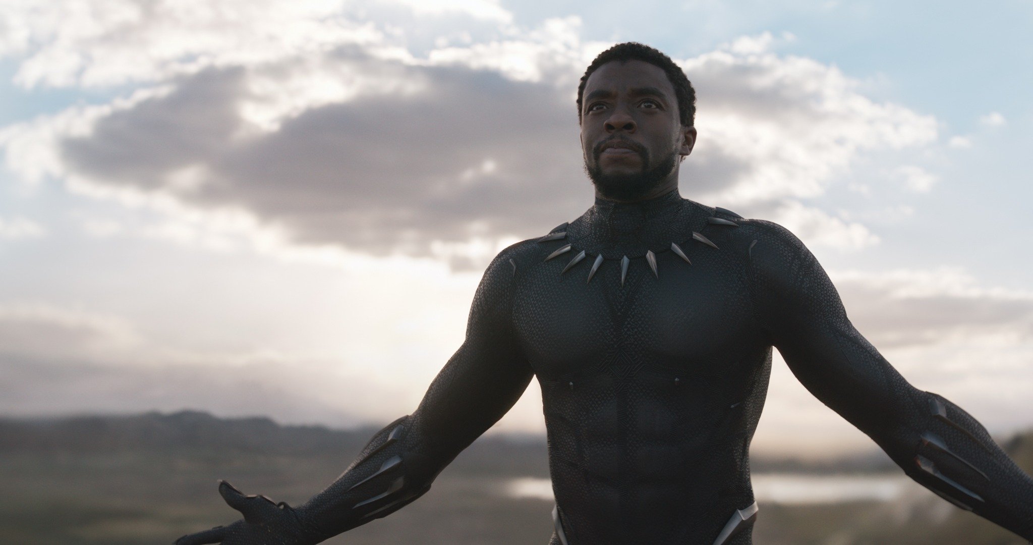 Black Panther Chadwick Boseman