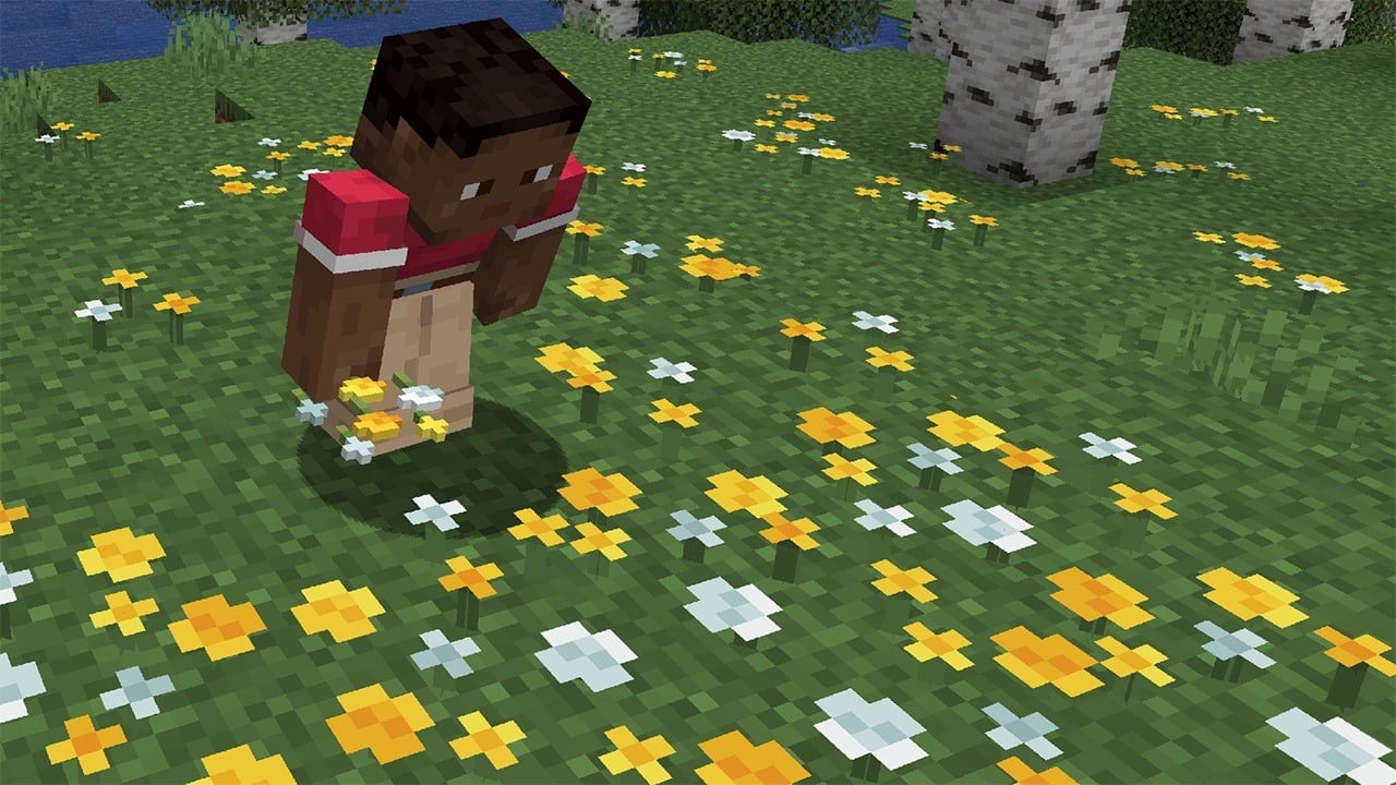 Minecraft Patch 1 2025 image #3