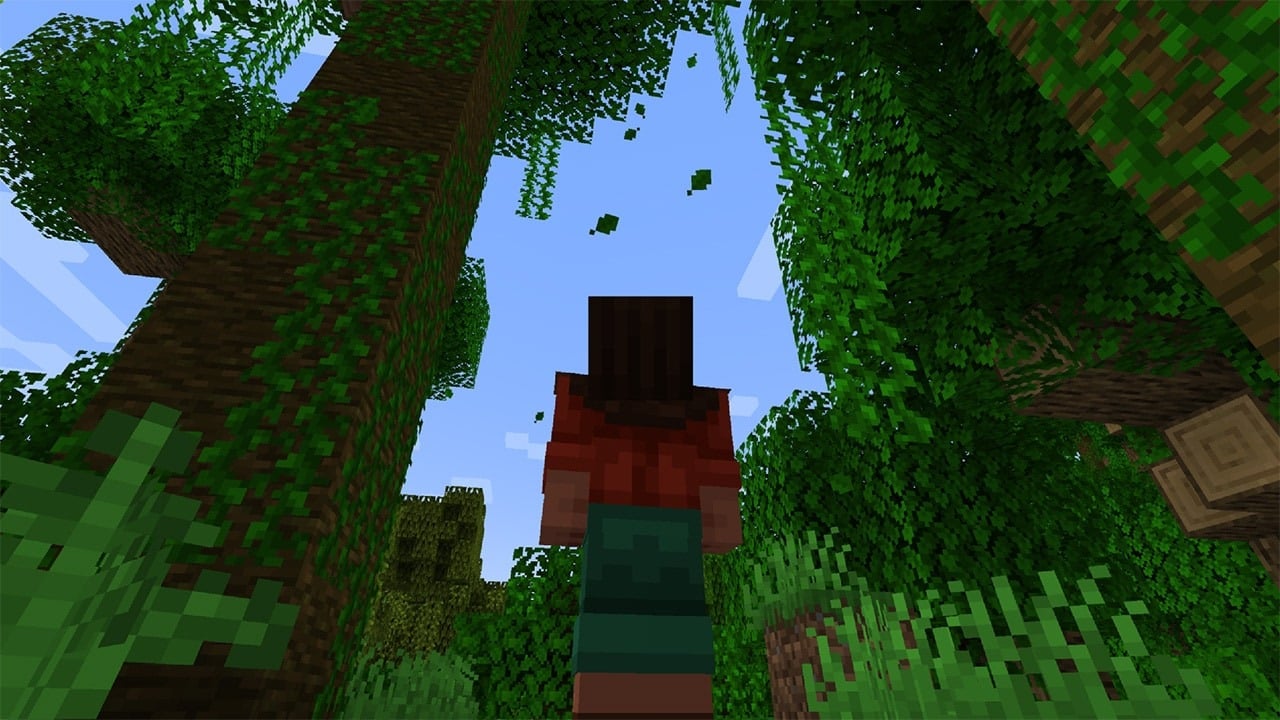 Minecraft Patch 1 2025 image #1