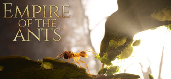 Les Fourmis