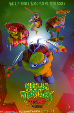 Ninja Turtles : Teenages Years