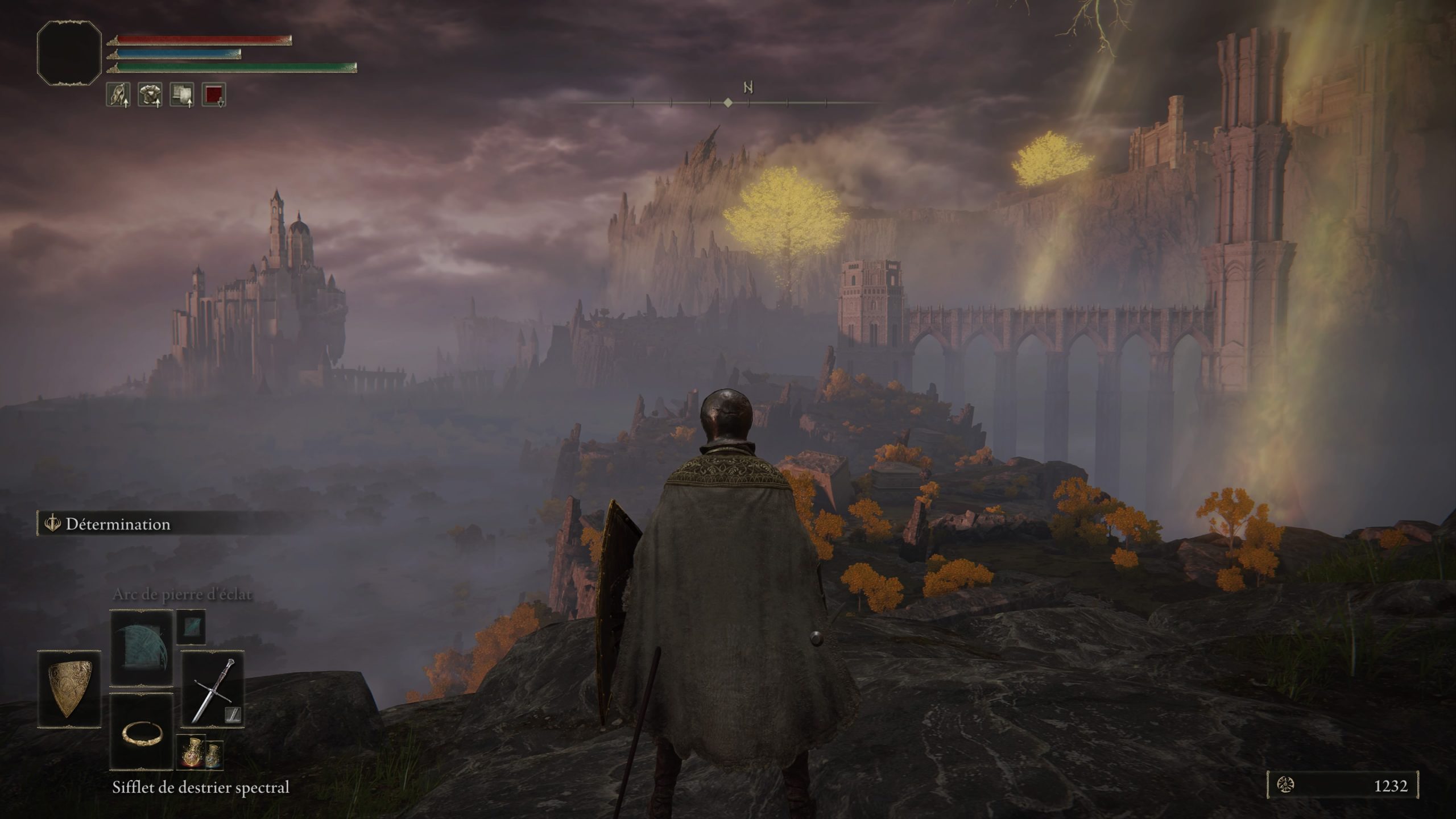 Screenshot de Gameplay avec une vue magnifique dans Elden Ring.