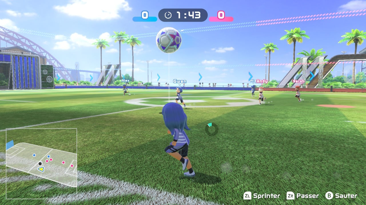 Nintendo Switch Sports football