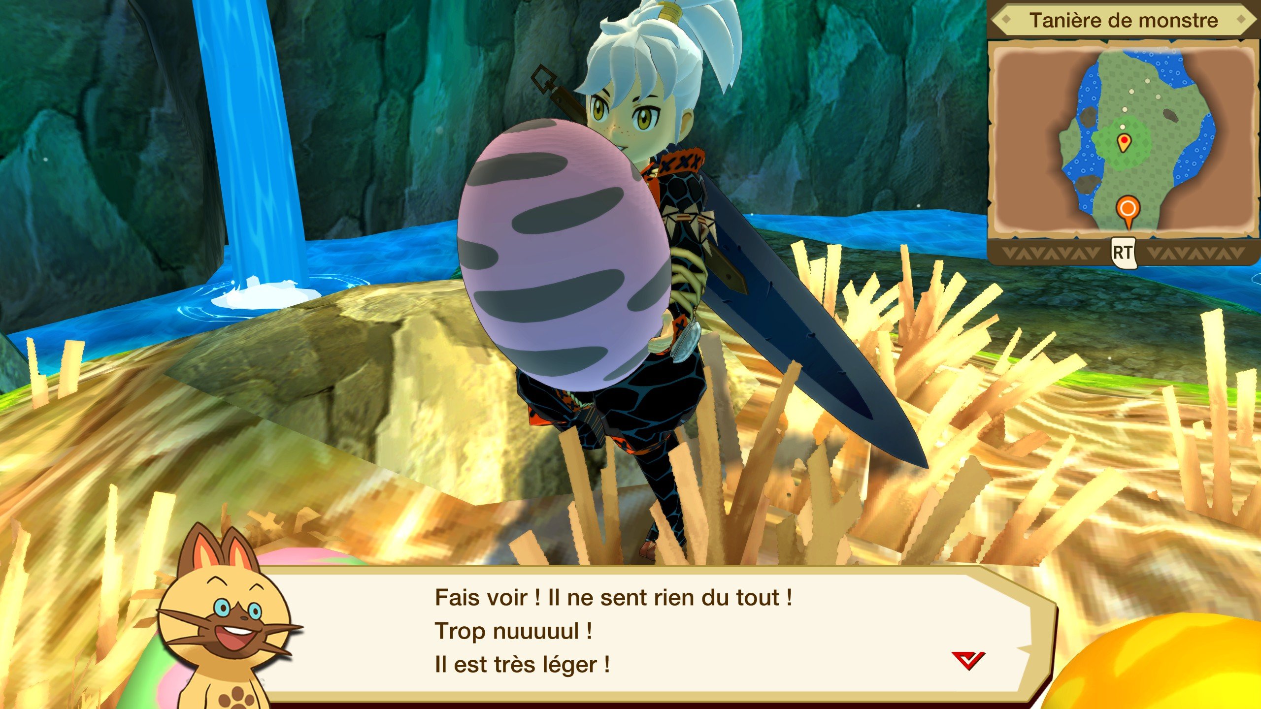 Monster Hunter Stories Œufs