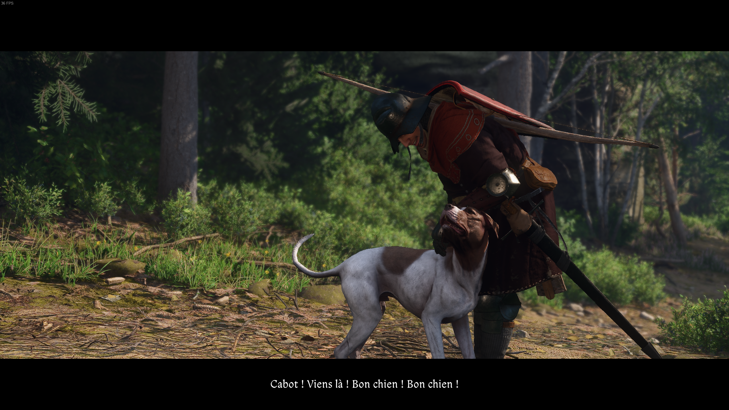 Kingdom Come Deliverance 2 Cabot