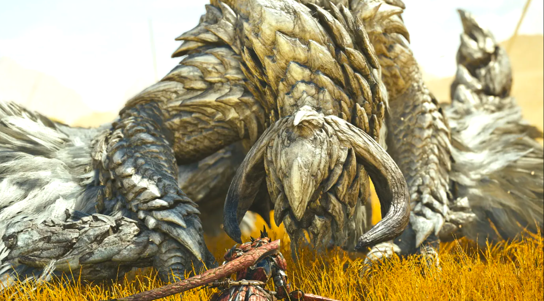 Monster Hunter Wilds : trois quêtes gratuites à farmer et une surprise à gagner