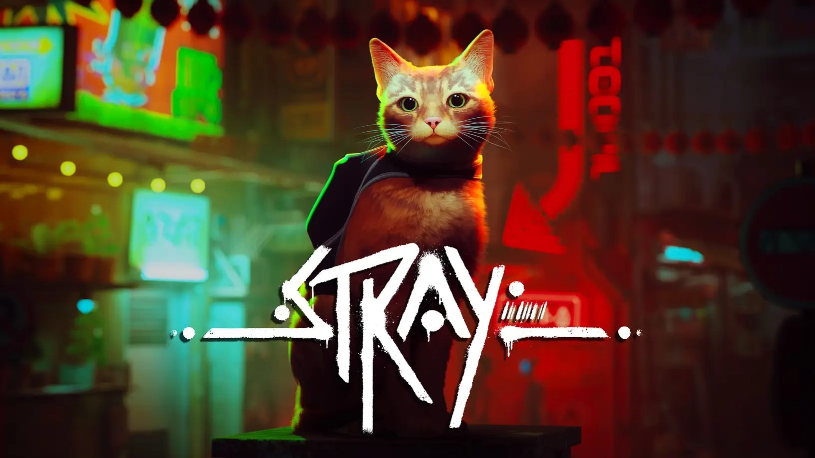 Stray : Nos impressions sur le très félin jeu d'aventure