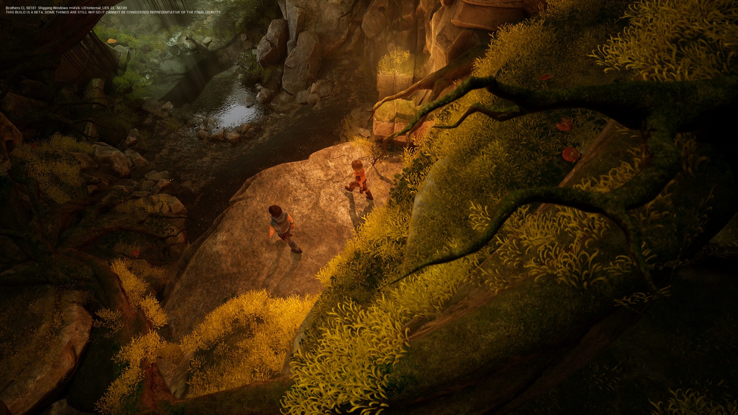 Brothers A Tale of Two Sons preview