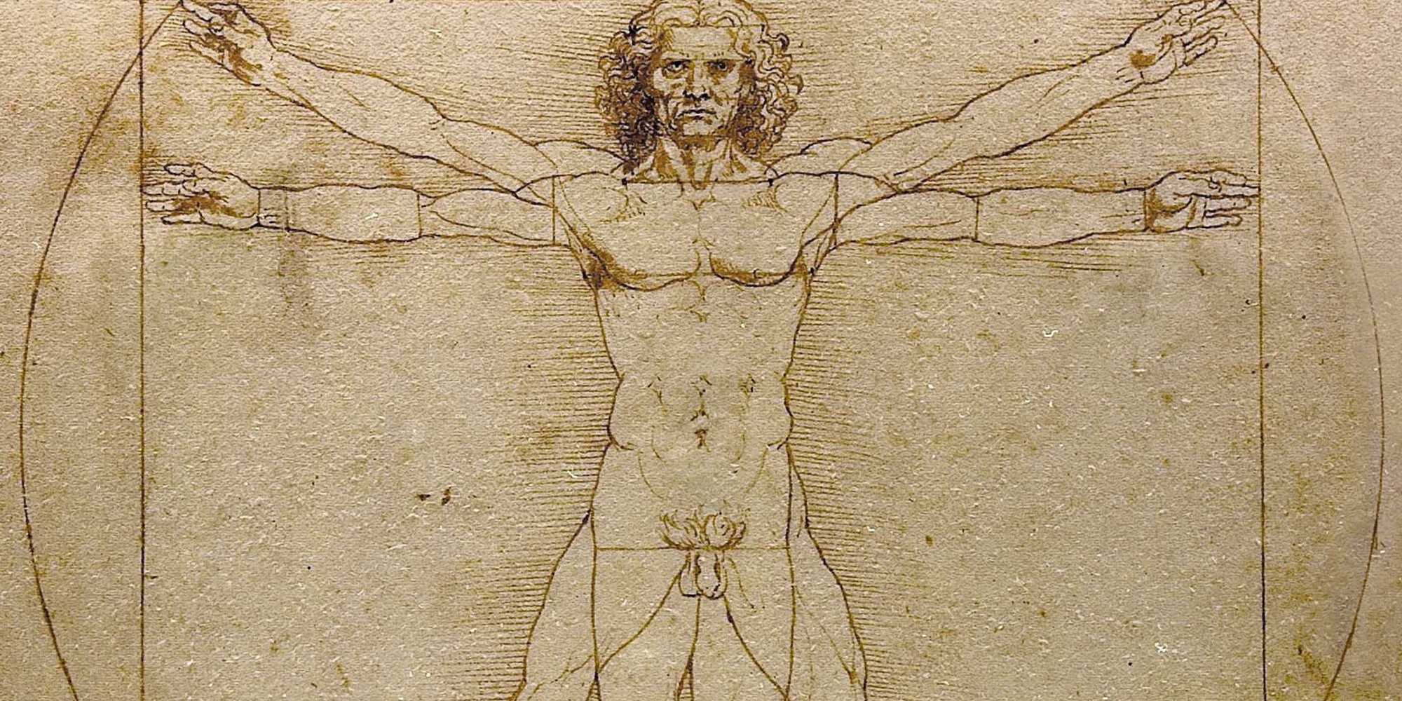 Le mystère de « l'Homme de Vitruve » de Léonard de Vinci enfin résolu... par un dentiste et un rapporteur