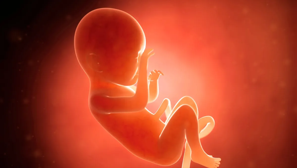 C'est un miracle de la science. Un enfant est né en 2025 d'un embryon d'il y a 30 ans