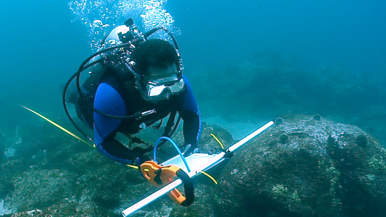 Une nouvelle espèce découverte et filmée à 3268 mètres de profondeur, elle affole les scientifiques