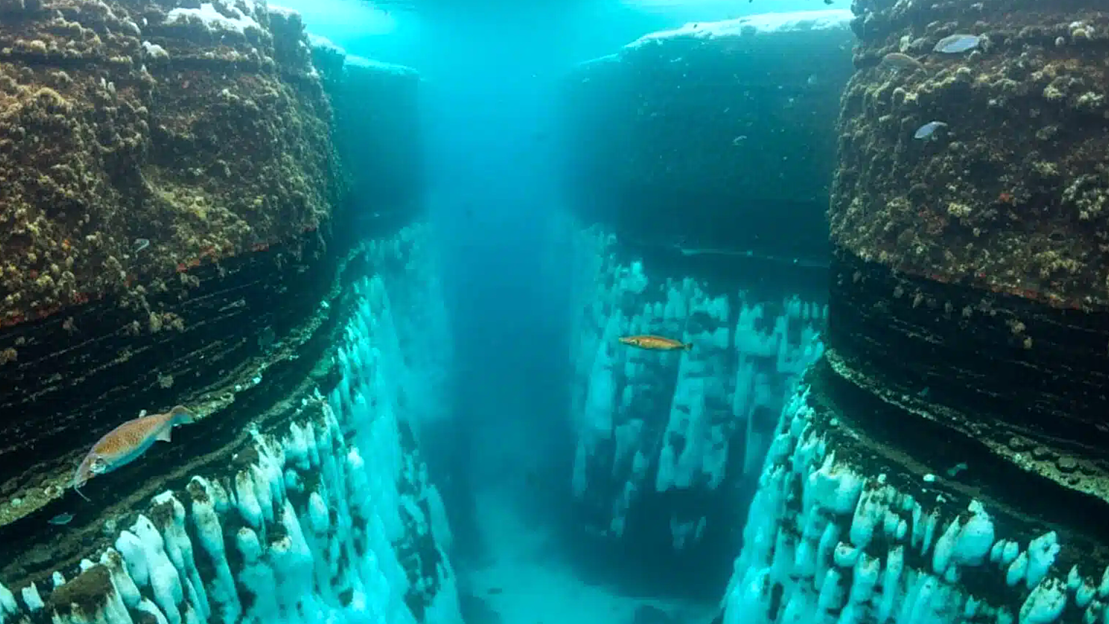 Des scientifiques font une énorme découverte sous l'Antarctique et ça pourrait tout changer