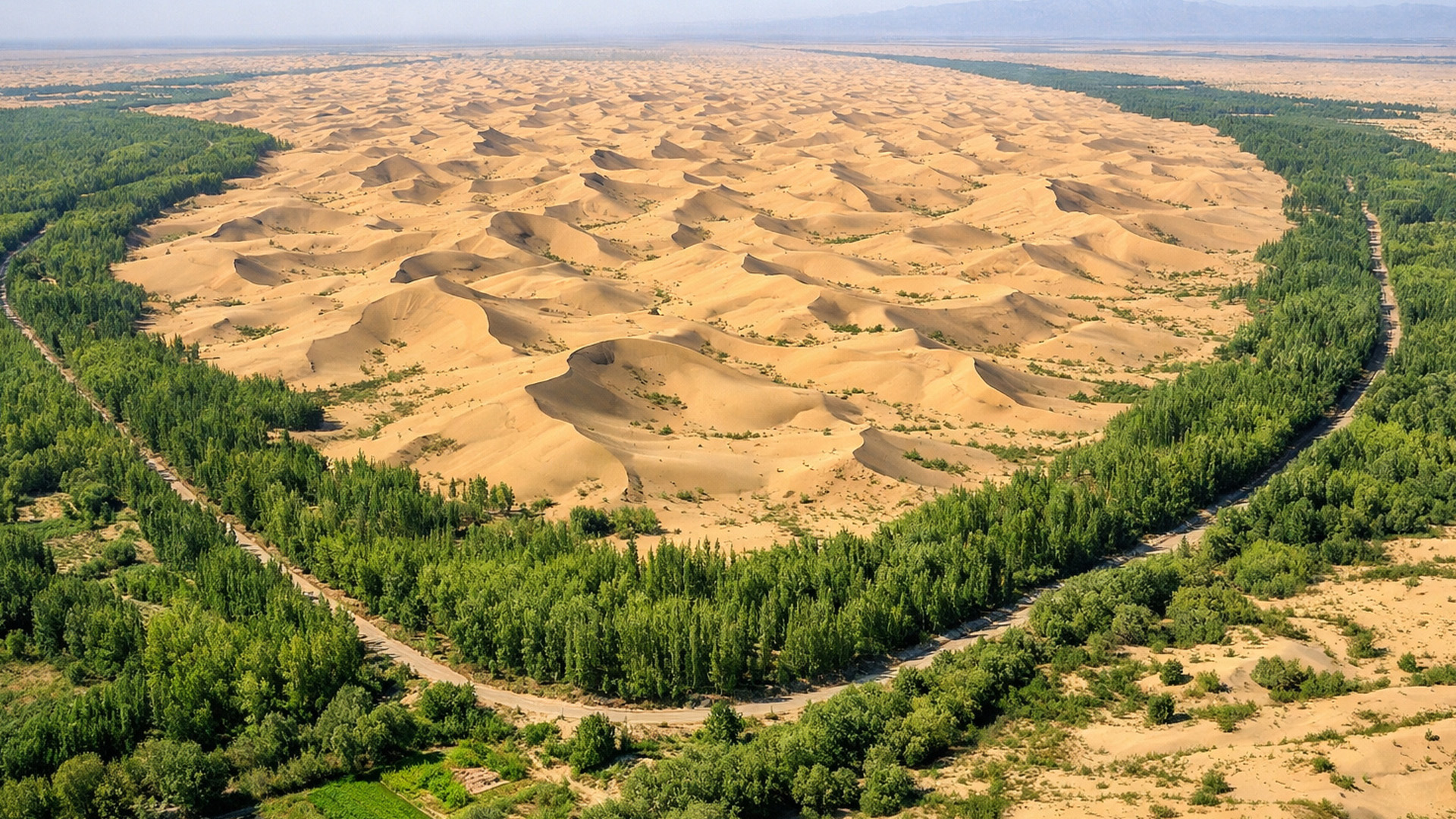 La Chine plante des millions d'arbres autour d'un désert pour le sauver et le transforme en puits de carbone