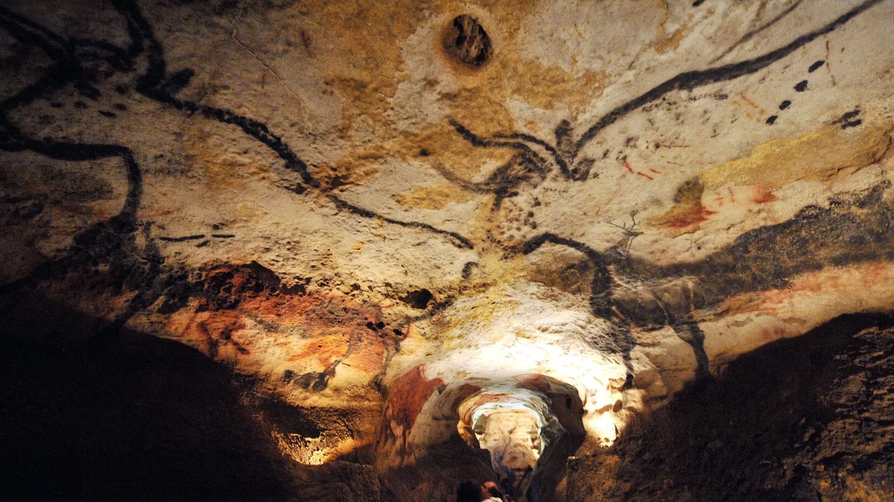 En 1940, un garçon et son chien ont découvert un trou dans un arbre menant à une grotte contenant 2 000 peintures vieilles de plus de 17 000 ans