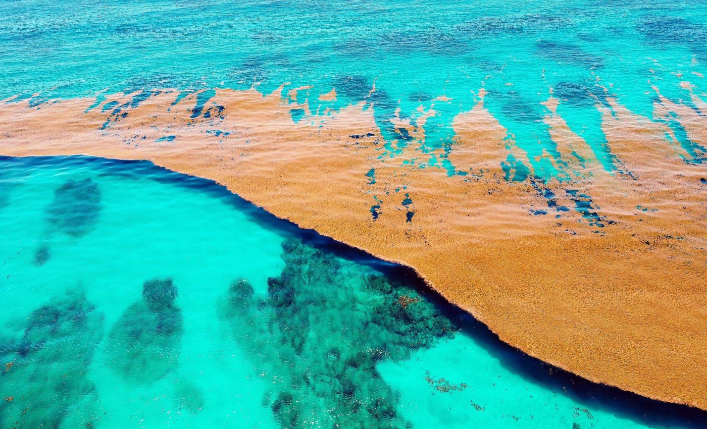Il existe sur Terre une mer unique au monde perdue au beau milieu de l'océan et qui ne touche aucune terre