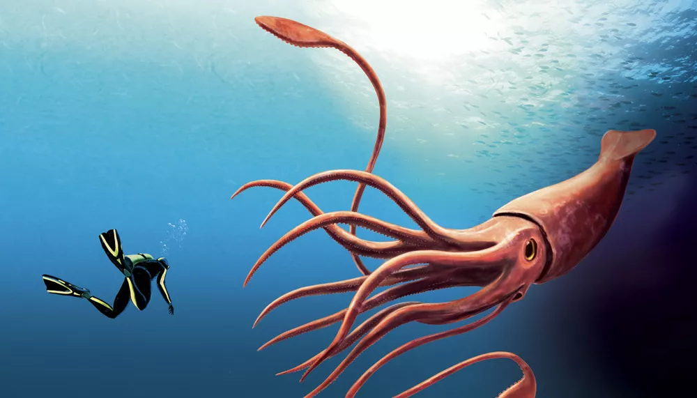 Pour la première fois en 25 ans, des scientifiques découvrent la trace d'une impressionnante créature marine au large de l'Australie