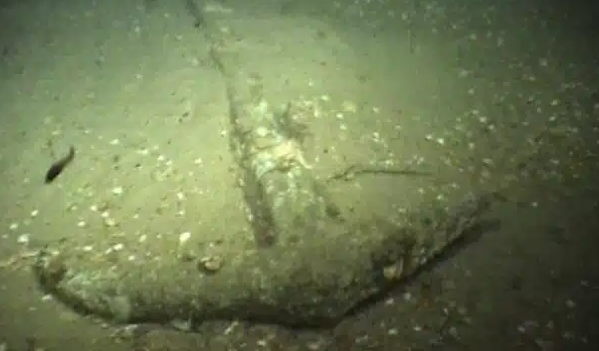 Cette ancre romaine de 2 000 ans dormait sous le sable de la mer du Nord : les archéologues n'expliquent pas son état de conservation