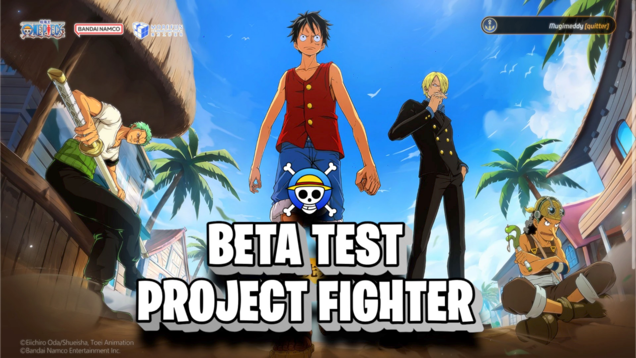 ONE PIECE PROJECT FIGHTER ARRIVE !